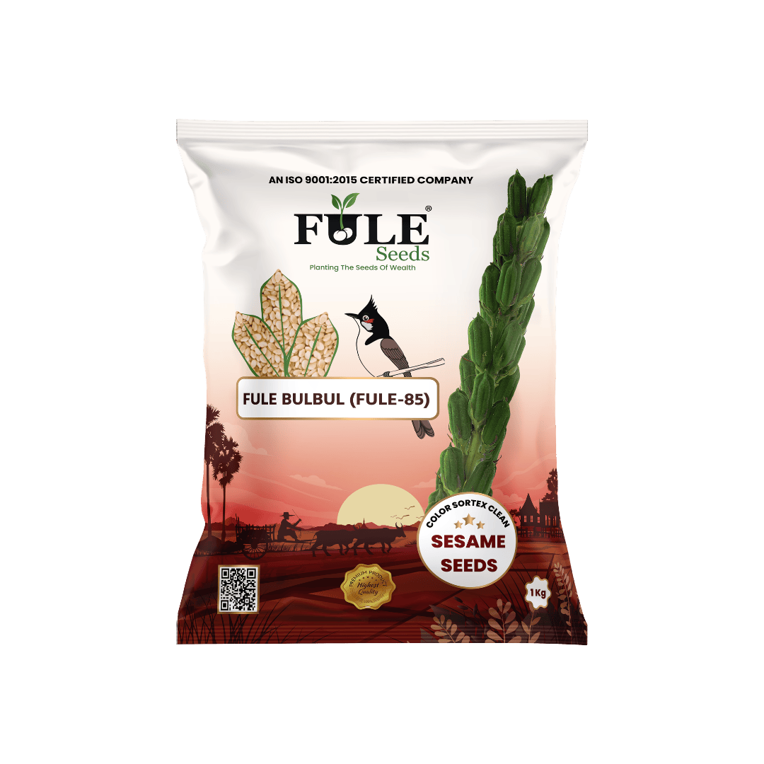 Fule BulBul (Fule 85)